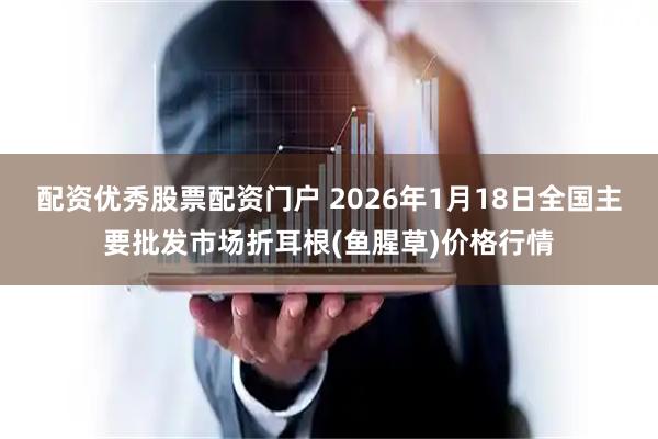 配资优秀股票配资门户 2026年1月18日全国主要批发市场折耳根(鱼腥草)价格行情